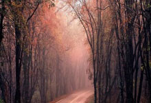 爱游戏网站入口-摩洛哥瓦赫达主场气氛火爆，球迷助威成强大后盾