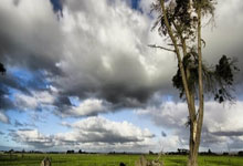 爱游戏官网app-鹿岛鹿角外援训练成果显著，力拼强队