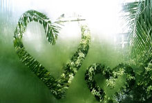 爱游戏官网入口-摩洛哥瓦赫达球员伤愈归队，阵容进一步完整