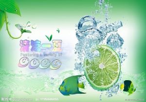 女足队员备战全国锦标赛，齐心协力夺冠