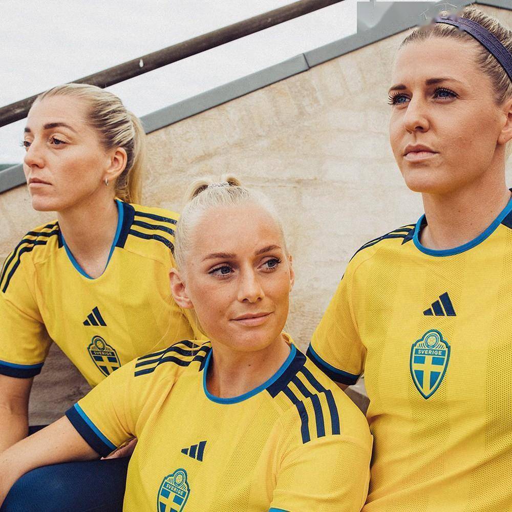 法国备受瞩目,瑞典国家队不容有失 法国备受瞩目,瑞典国家队不容有失