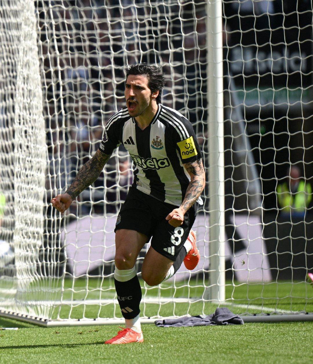 包含纽卡斯尔客场失利,保级悬念再添变数的词条 包含纽卡斯尔客场失利,保级悬念再添变数的词条